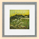 Cow Parsley - Giclée Print