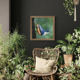 plant-room-with-cane-chair