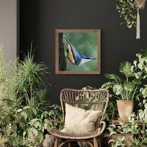 plant-room-with-cane-chair