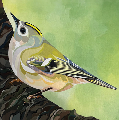 Faye Baines, Goldcrest, Blank Art Greeting Card