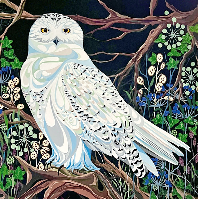 Snowy Owl