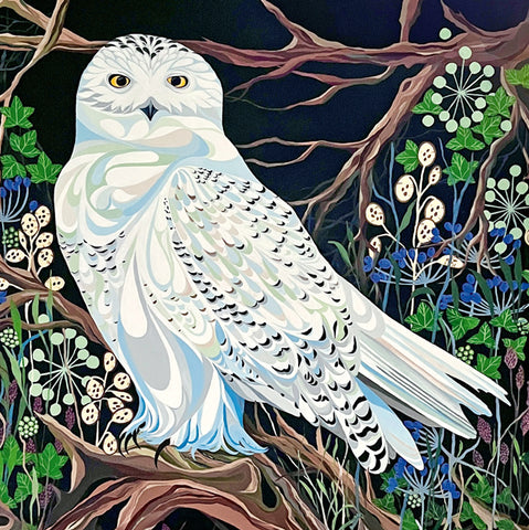 Snowy Owl