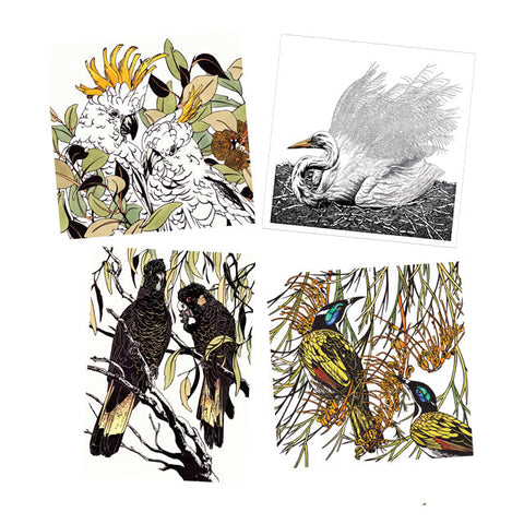 Australian Birds Collection - Bundle of 4 Cards