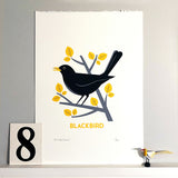 CA-Blackbird-Main