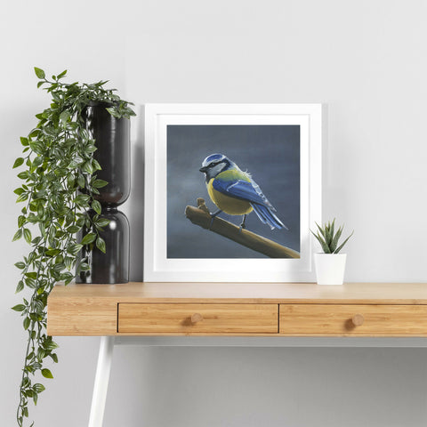 bluetit1