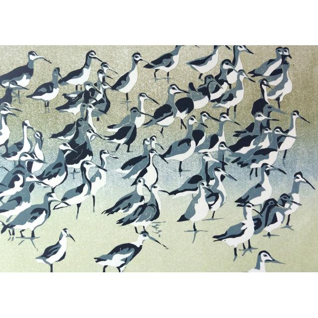 Anne Townshend, Black-Tailed Godwits, Fine Art Greeting Card, Printmaker