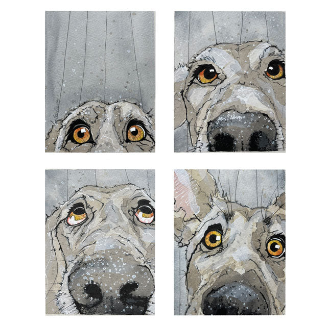 Bev Davies, The Photo Booth, Blank Art Card, Humour (Dogs)