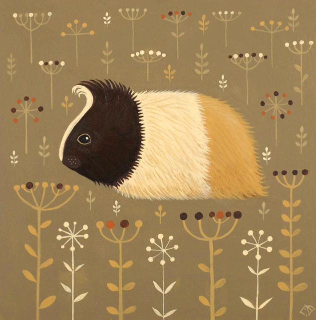 Catriona Hall, Gentle Guinevere