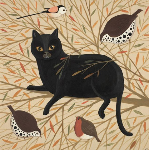 Catriona Hall, Curious Cat