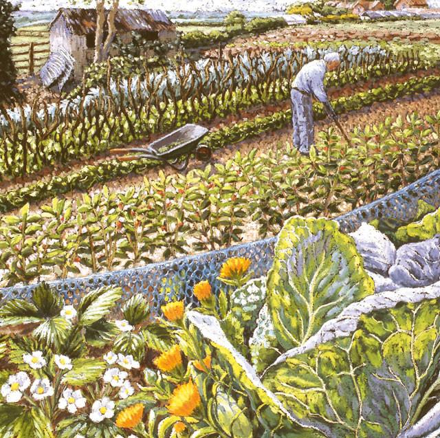 Cath Read,  Blooming Veg