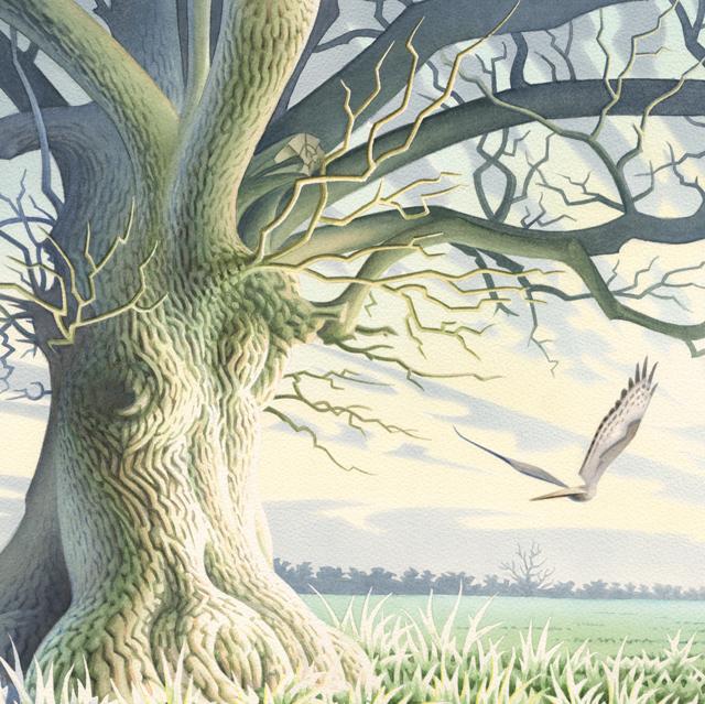 David Alderslade, The Blue Oak, Fine Art Card