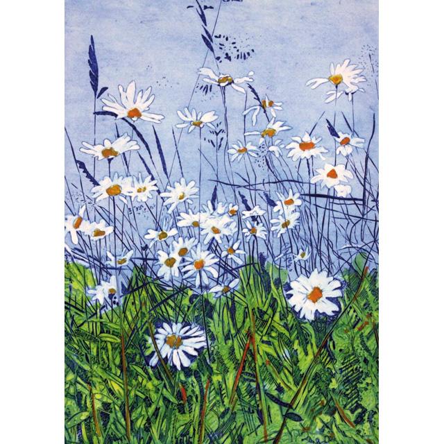Diana Ashdown, Ox-Eye Daisies, Blank Greeting Card