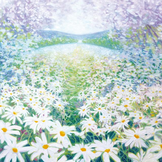 Lace Daisies