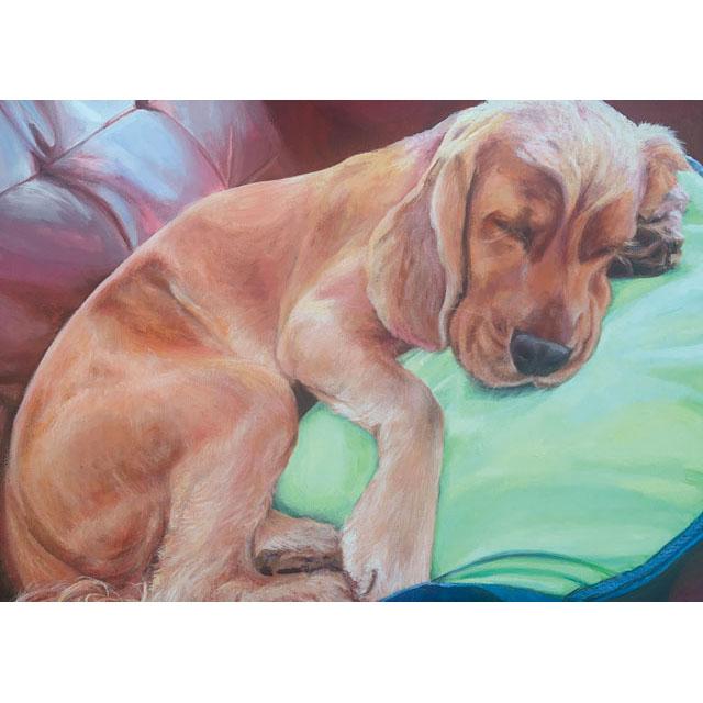 Helen Eaton, Sleeping Fudge, Fine Art Greeting Card