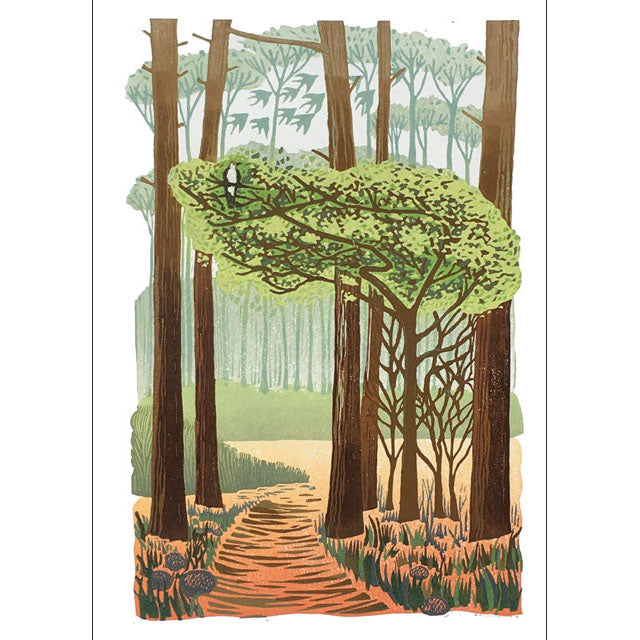 Forest Fit For A King