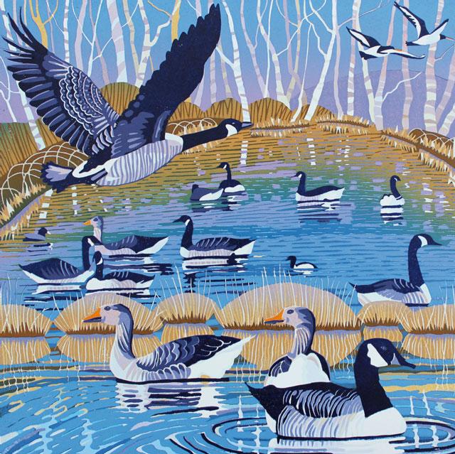 Jenny Hancock, Sanctuary (Birds), Blank Art Card