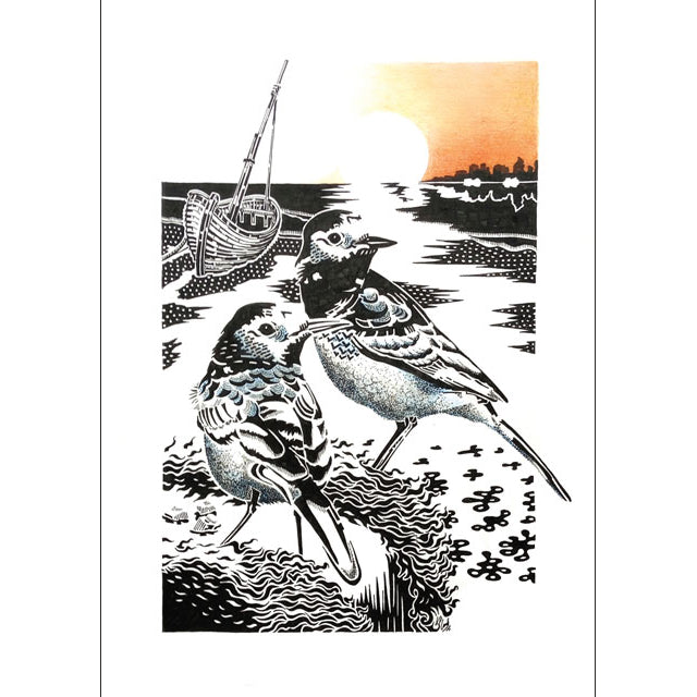 Kevin Cook, Pied Wagtails, Fine Art Greeting Card