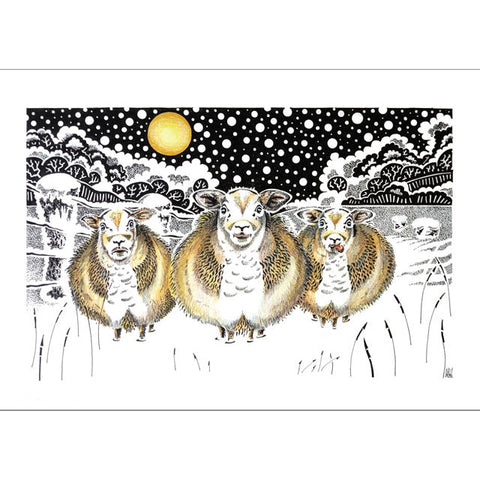 Kevin Cook, Sheep in Winter, Blank Art Card