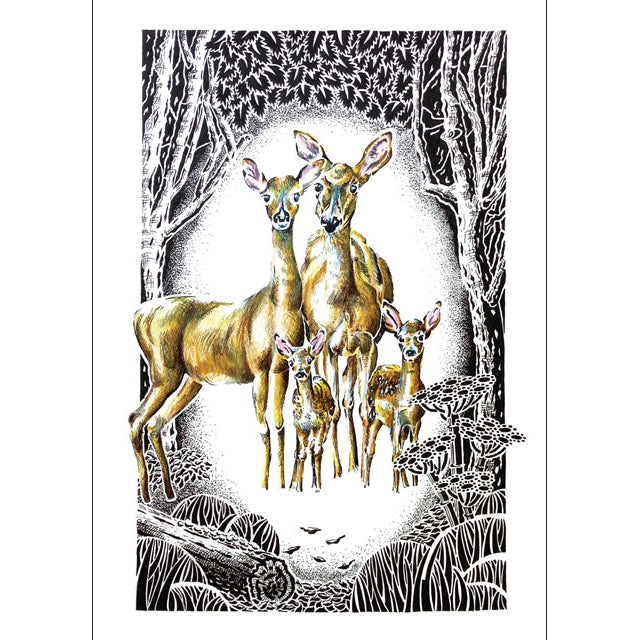 Fawn Haven