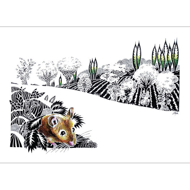 Kevin Cook, Venturing Forth, Blank Art Card