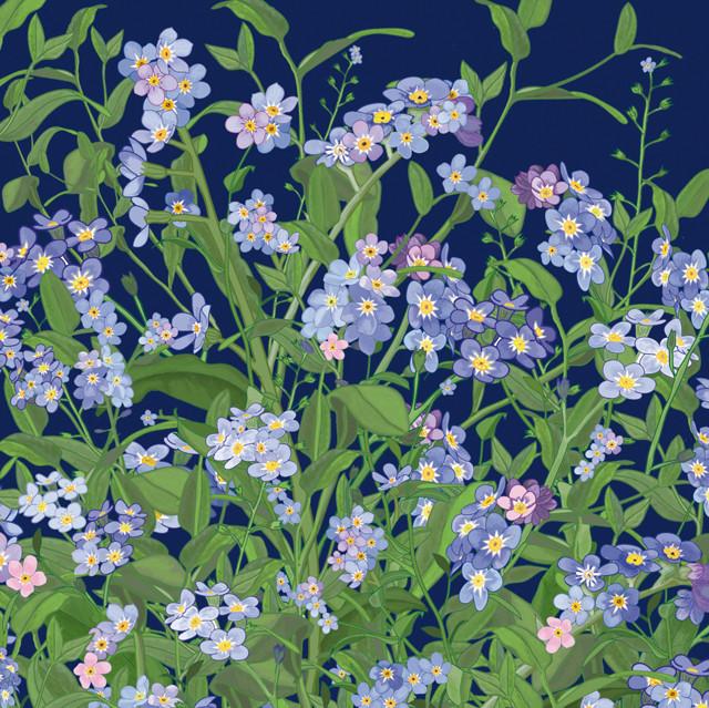Mig Wyeth, Forget-me-nots, Art Card