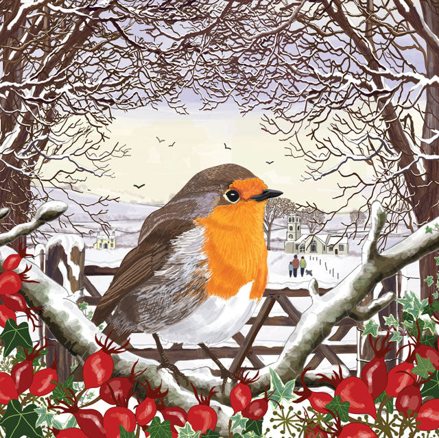 The Robin and New Beginnings
