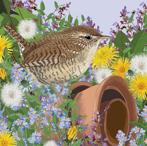 Mig Wyeth, Jenny Wren, B;lank Art Card