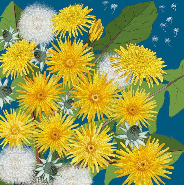 Mig Wyeth, Dandelions and Wishes, Art Card