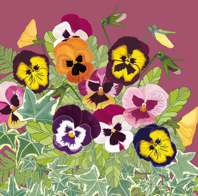 Mig Wyeth, Pansies, Art Card