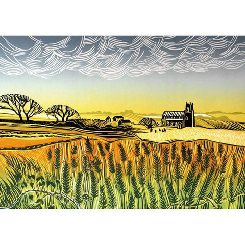 Rob Barnes, Sunshine After Showers