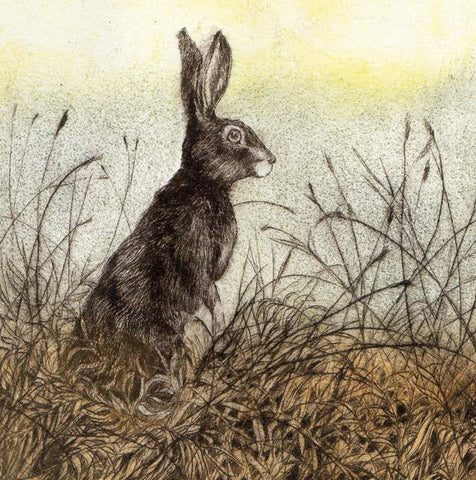 Sarah Bays, Sentry