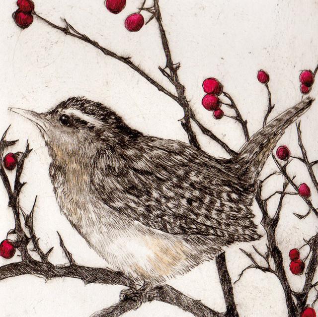Sarah Bays, Wren In Winter