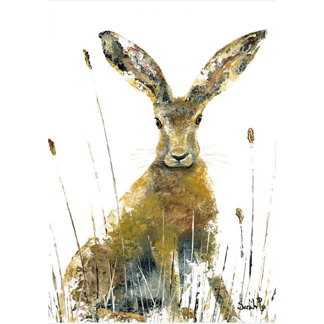 Sarah Pye, All Ears