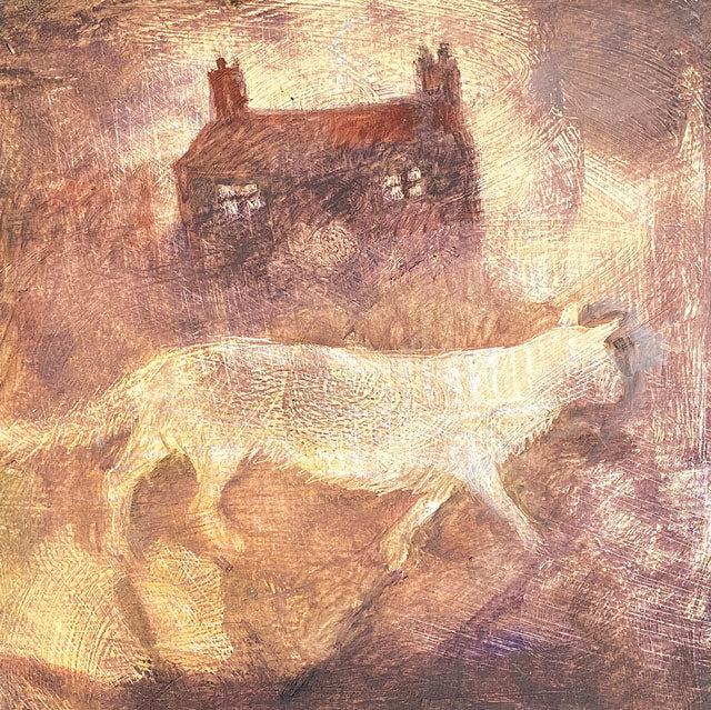 Tessa Newcomb, House Cat, Fine Art Greeting Card