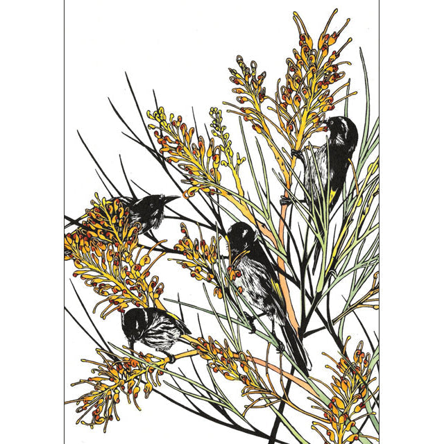 Vida Pearson, Honeyeater Feeding Time, Blank Art Card