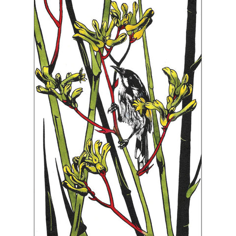 Vida pearson, New Holland In Kangaroo Paw , Blank Art Card