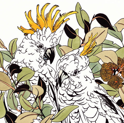 Vida Pearson, Sulphurs, Blank Art Card