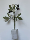 Keepsake Blackberry - Flower Sculpture