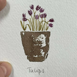 Tulips Pot - Original Framed Miniature Botanical Ink Painting