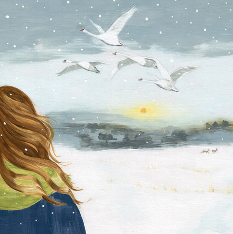 Swans In Winter