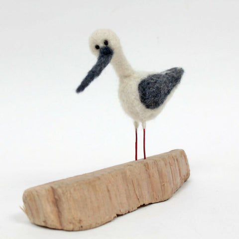 Bird on Driftwood