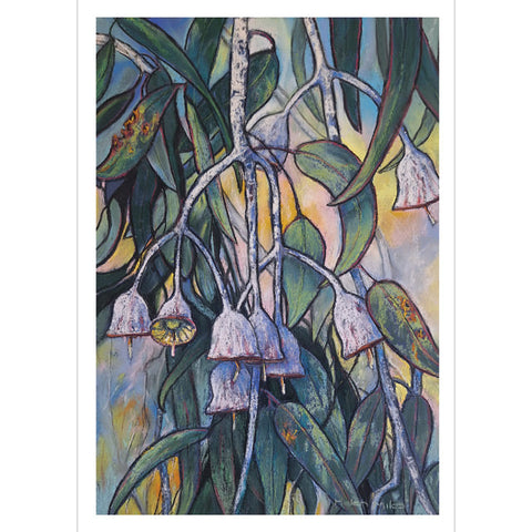 Helen Miles, Gum Nuts (Australia)), Fine Art Greeting Card