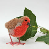 Robin 2