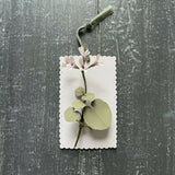 Keepsake Hanging Paper Pelargonium - Flower Sculpture