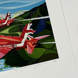 Flying Colours - Giclee Print