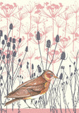 Skylark - Art Print