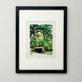 Klath Byer framed b