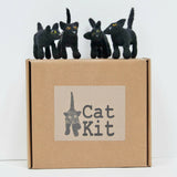 Black Cat - Needle Felting Kit