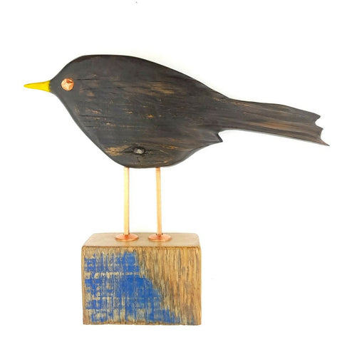 Cheeky Blackbird Looking2 1024