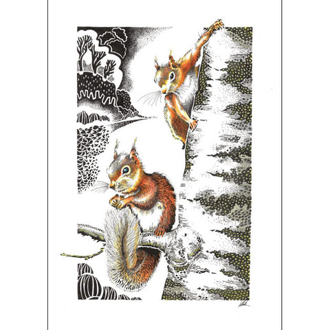 Kevin Cook, Red Squirrels on Silver Birch, Blank Art Card